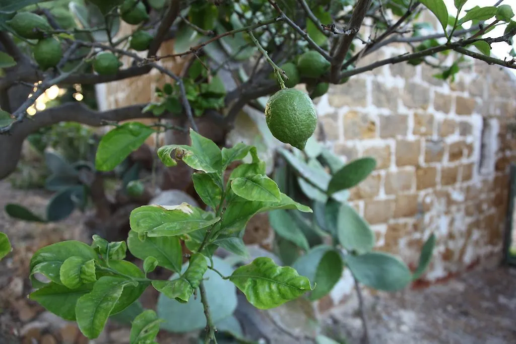 Villa Del Saraceno 레알몬테 이탈리아